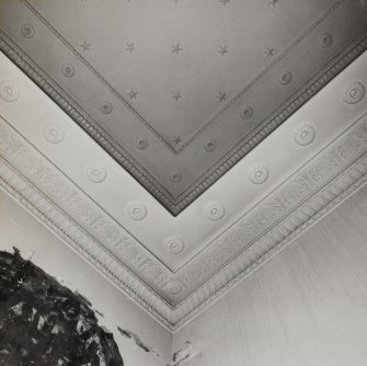 Interior. Detail of cornice and ceiling at corner