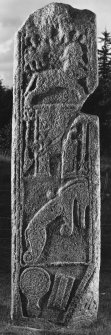 Chapel of Garioch, The Maiden Stone.  View of E face, photographed using flash, dated 13 September 1995.				