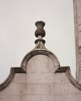 Detail of thistle decoration above window.