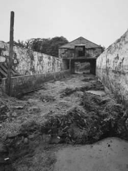 Interior view of steading's bothy from NNE, roofless.