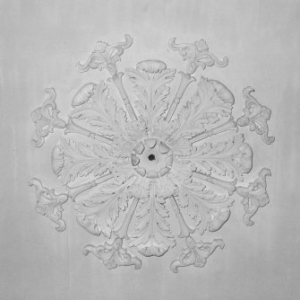 Interior.
Detail of ceiling rose.