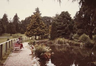 General view of new pond next to walled garden.