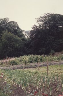 Distant view of Glenbervie House from walled garden.