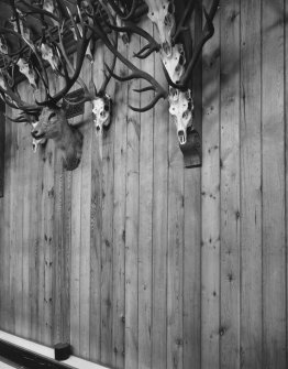 Wall, panelling and deer antlers, detail