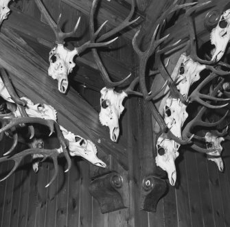 Ceiling, support covered in deer antlers, detail