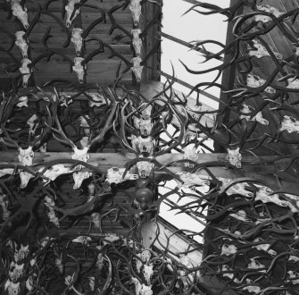 Roof light and ceiling structure covered in deer antlers, detail