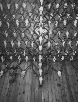 Ceiling and wall, wood panelling covered in deer antlers, detail