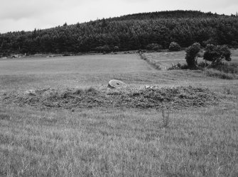 General view of remains of whin mill.