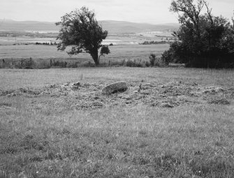 General view of remains of whin mill.