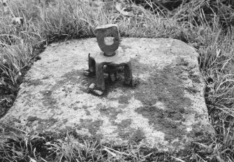 Detail of centre pivot of whin mill.