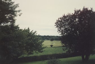 View from castle across park.