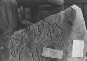 Interior.
Detail of symbol stone from Burghhead.