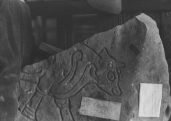 Interior.
Detail of symbol stone from Burghhead.