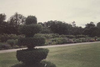 View of topiary and herbaceous border in grounds.