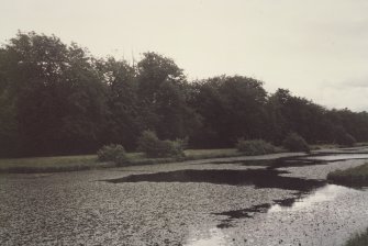 View of pond in grounds.