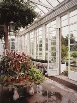 Conservatory, view of interior from West