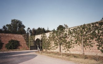 Walled garden, North East corner, view from South West