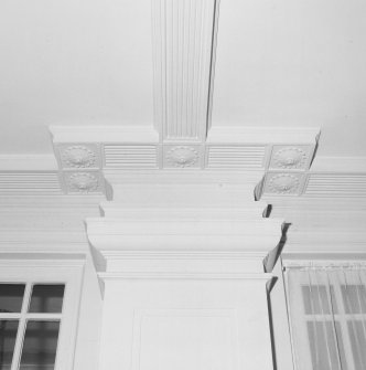 Interior. Detail of saloon cornice and pilaster