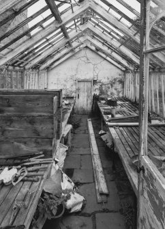 Greenhouse, view of interior