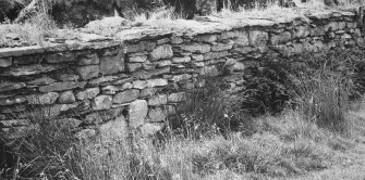 East wall of byre showing capping course