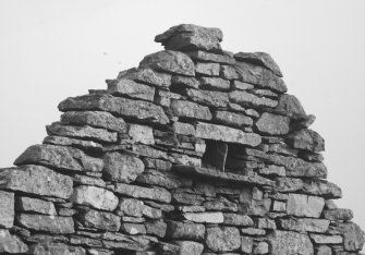 Detail of pigeon perch