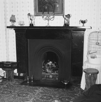 Hall, fireplace detail