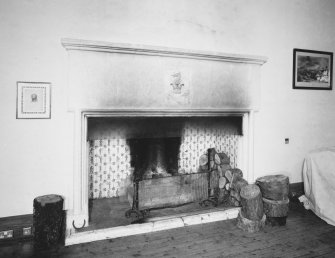 First floor, great hall, fireplace, detail