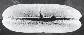 Oval line sinker. Edge view.