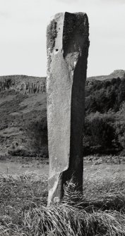 Standing stone, viewed from SE.  Locally known as the 'stone of punishment'.