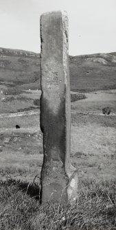 Standing stone, viewed from W.  Locally known as the 'stone of punishment'.