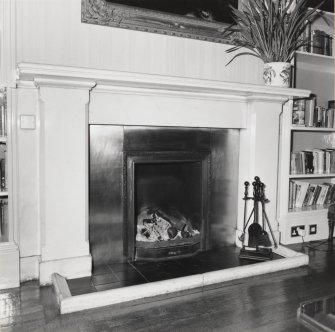 Ground floor, library, fireplace, detail
