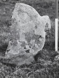 Detail of west south west face of cross