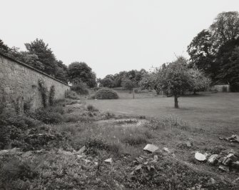 Walled garden, view from North