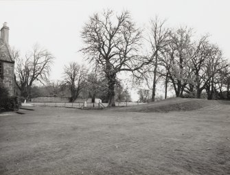 View of raised section of lawn