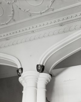 Interior-detail of column capital in Ground Floor Entrance Hall