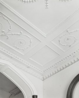 Interior-detail of cornice and friezel in Ground Floor Entrance Hall