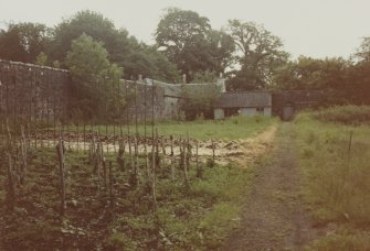 General view of the walled garden