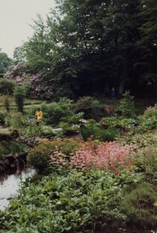 General view of the water garden