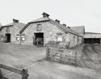 View of steading from SE