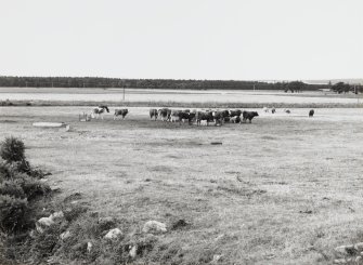 View of fields to South of steading from North East