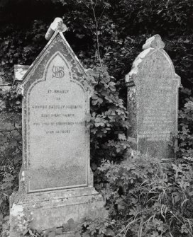 Detail of specimen gravestones