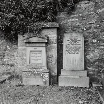 Detail of specimen gravestones