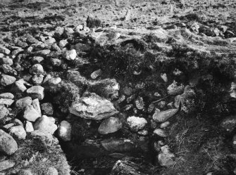 Detail of cairn (with stone circle NX55NW 8 in background)