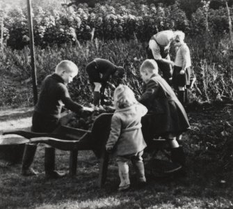 In the grounds of Addistoun House, 'Tattie lifting', children in garden.  
Copied from Album no.145