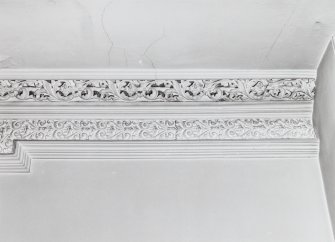 Ground floor, rear shop, cornice, detail