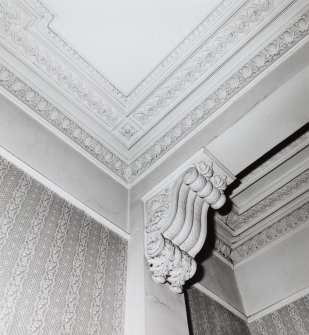 First floor, main S room, cornice and console brackets, detail