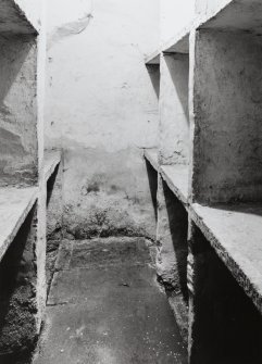 Basement, wine cellar, detail