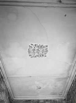 Summer House Interior.  detail of plaster ceiling