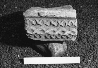 Detail of carved abacus fragment.