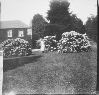 Copy of historic photograph showing view of house through trees.